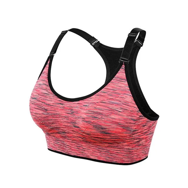 Quick Dry Padded Sports Bra